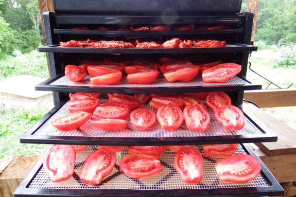 Drying tomatoes