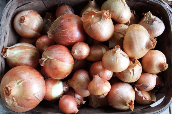 Basket of onions