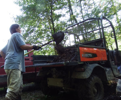 Shovel manure