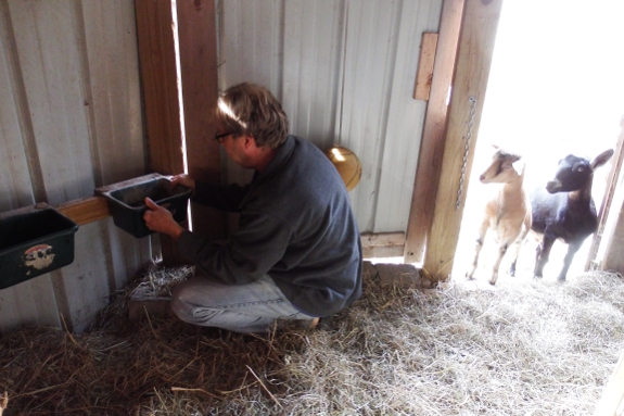 Goat mineral feeders