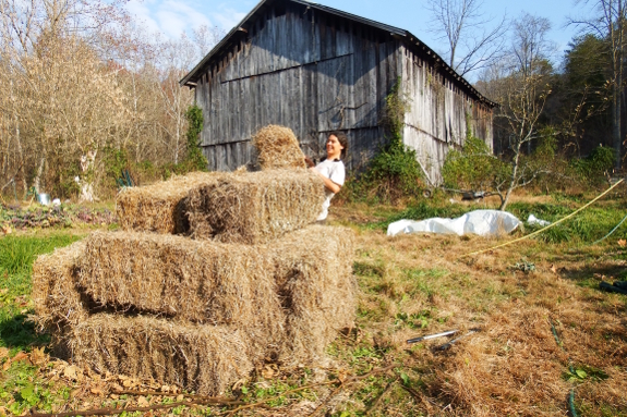 Hay pyramid