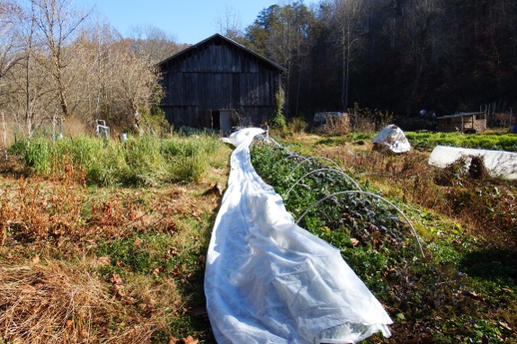 A very long quick hoop.