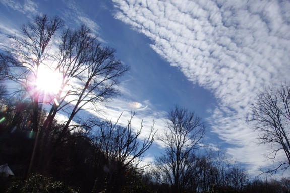 Altocumulus