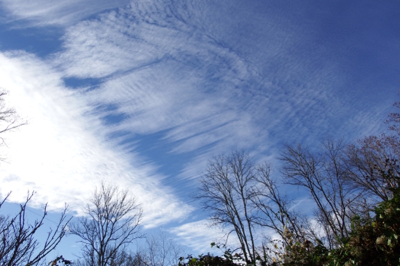 Cirrus clouds