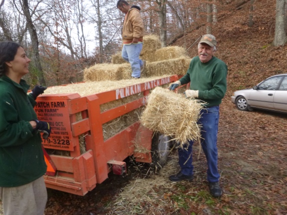 More straw bales.