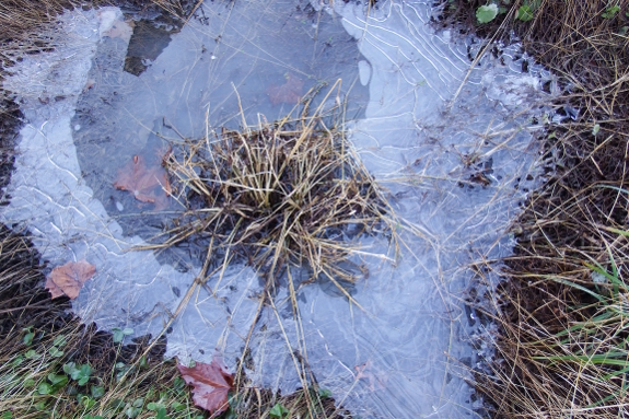 Frozen pond