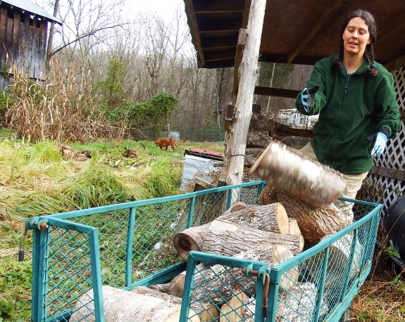 Tossing firewood