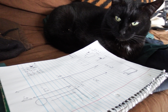 Cat planning