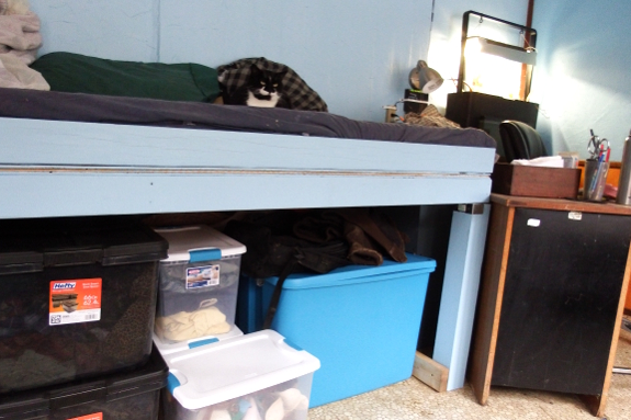 Raised storage bed