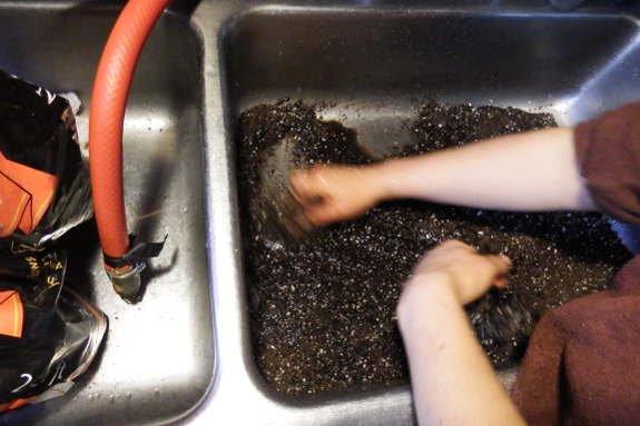 Moistening potting soil