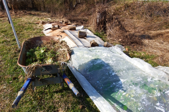 Early spring weed killing