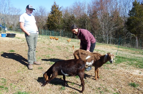Meeting new goats.