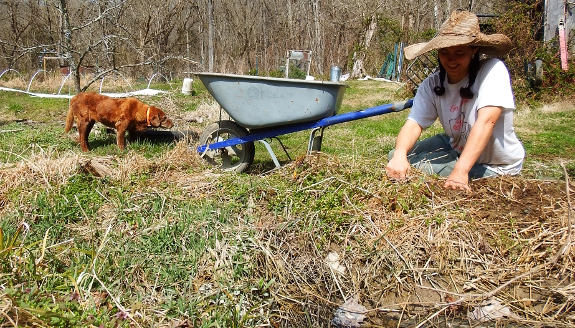 Spring weeding