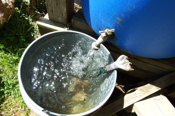 Rain barrel