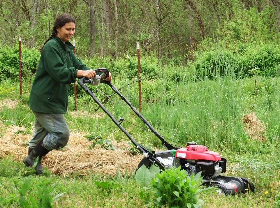 Honda mower