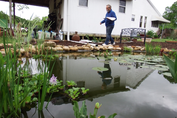 Rainwater pond