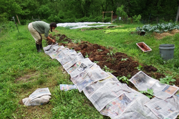 Lasagna garden