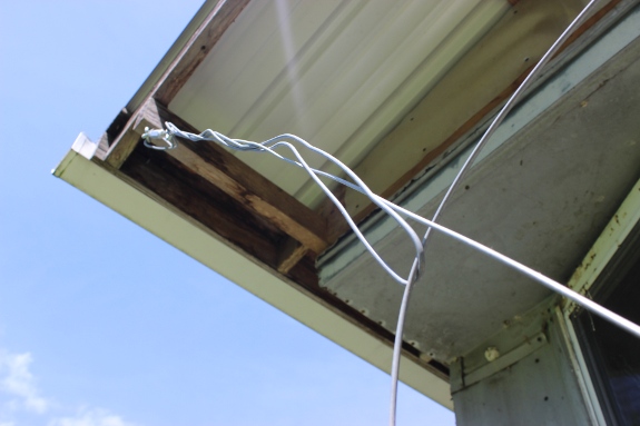 Grape trellis wire support.