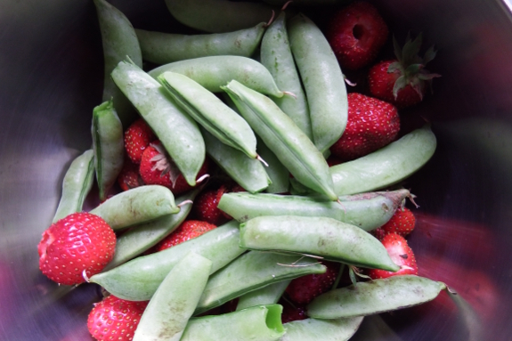Peas and strawberries