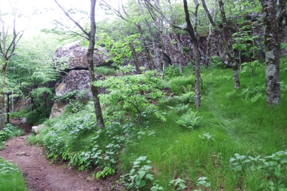 Emerald Outback Trail