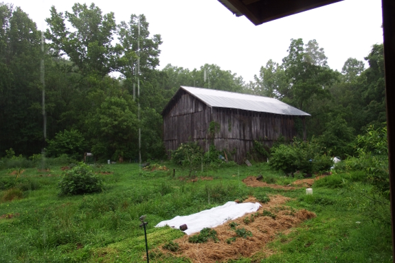 Rainy farm