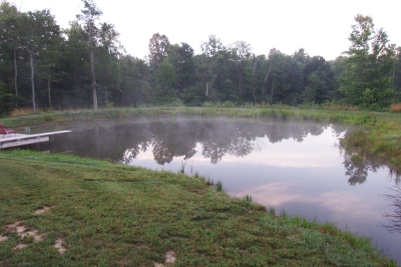 Foggy pond