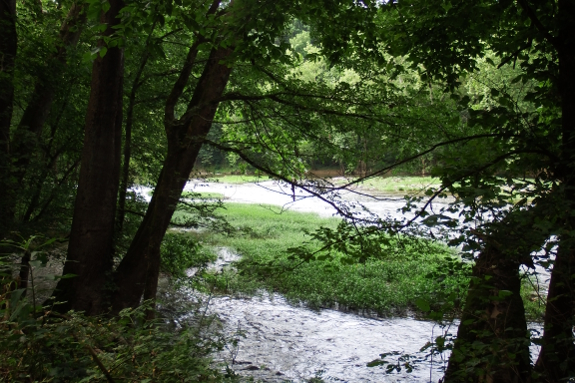 Clinch River