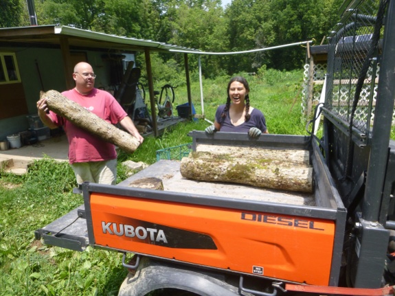 Loading mushroom logs into Kubota.