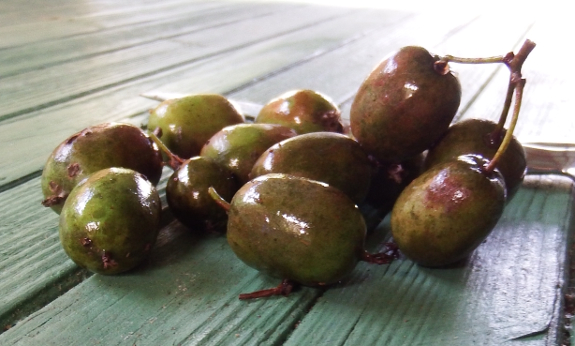 Hardy kiwi fruits