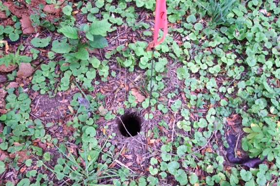 Soil test hole