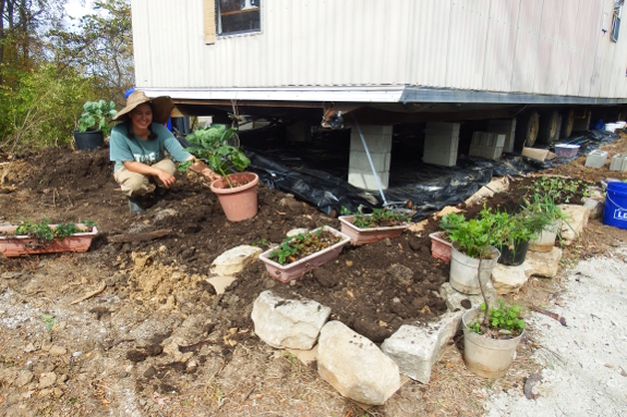 Potted garden