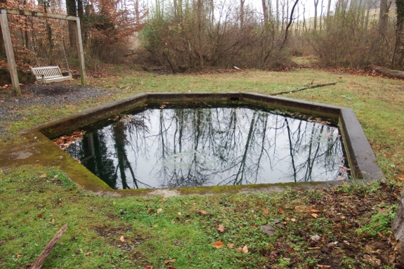 Hexagonal pond