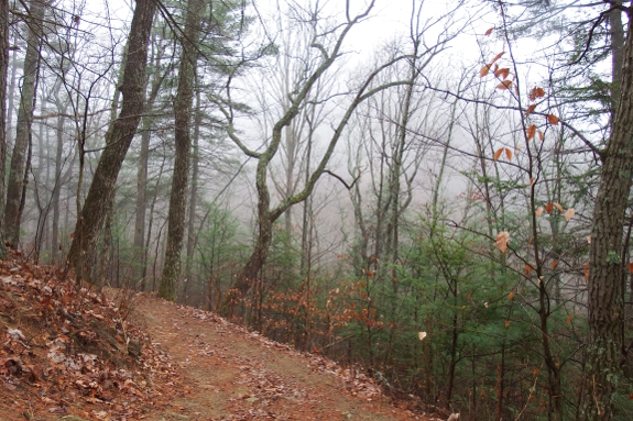 Lake ridge trail