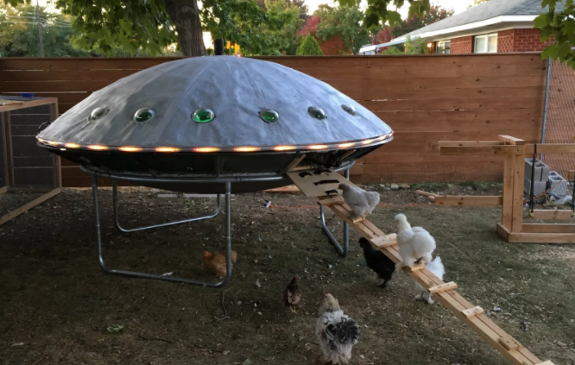 Cosmic Chicken Coop.