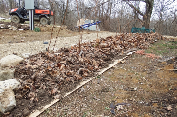 Leaf mulch