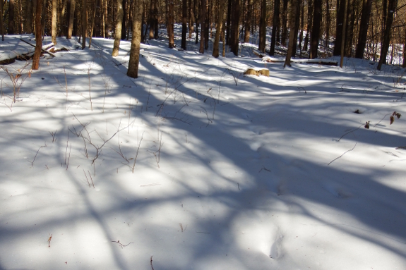 Snow shadows