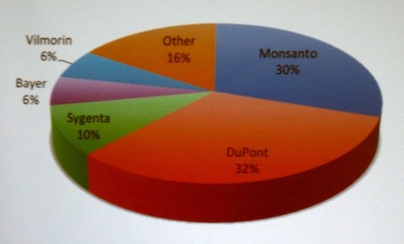 Seed companies pie chart