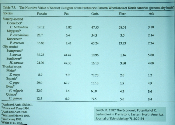 Nutrition of Native American crops