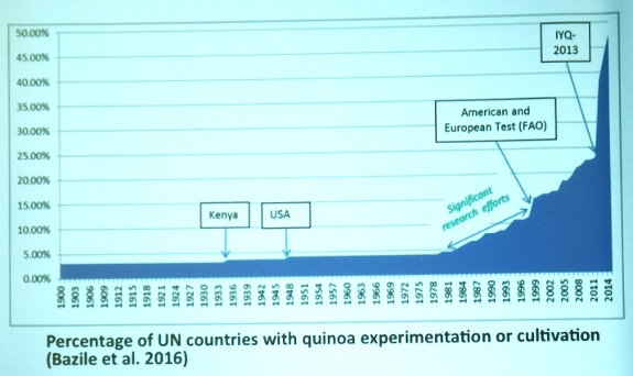 The rise of quinoa