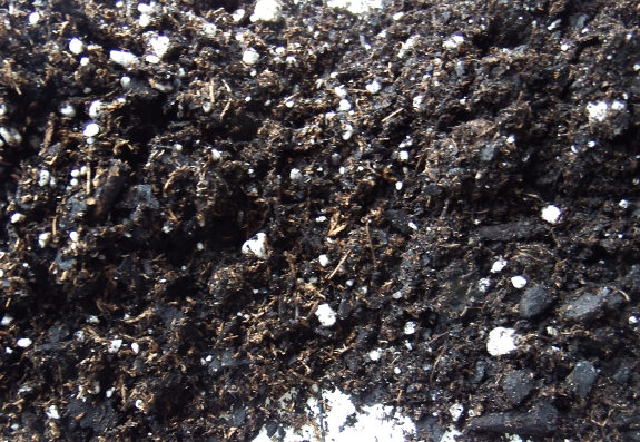 Potting soil comparison
