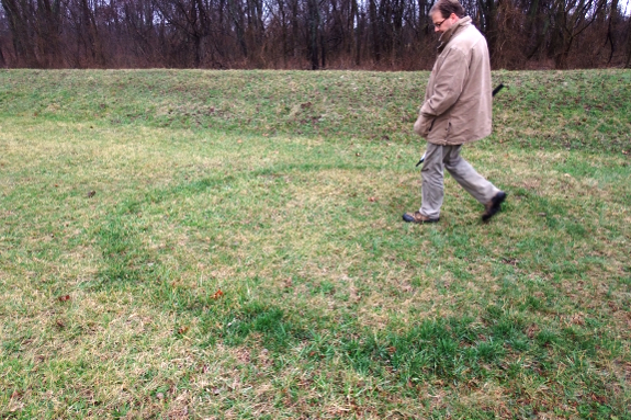 Fairy Rings  Horticulture and Home Pest News