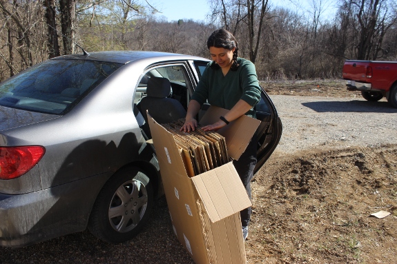Anna inspecting a new supply of cardboard.