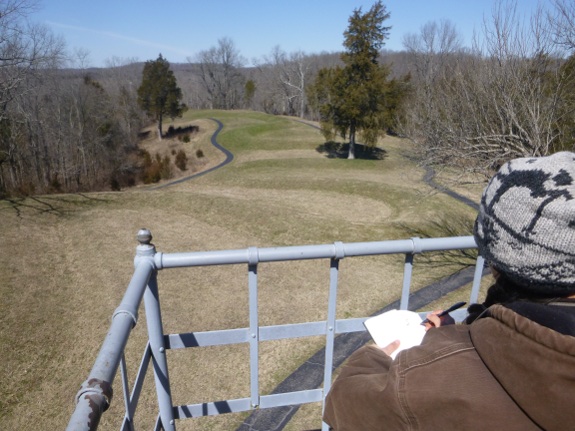 Serpent Mound view from the tower.