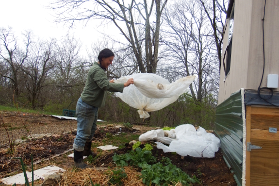 Covering up the spring garden