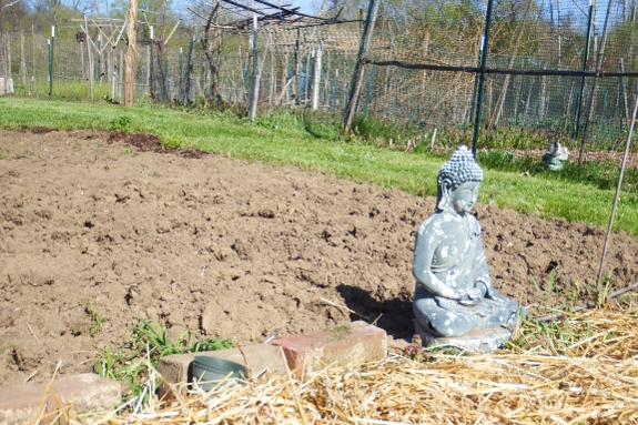 Community garden