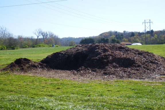 Leaf compost