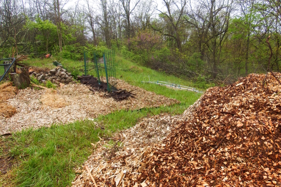 Big pile of wood chips