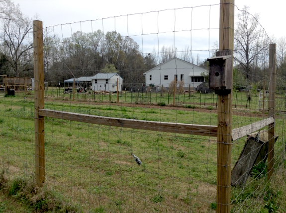 Fence corner brace