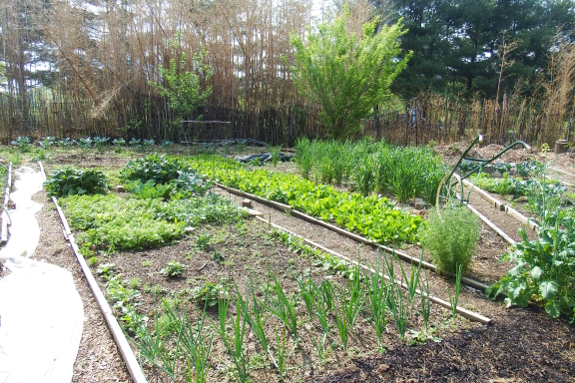 OU learning garden