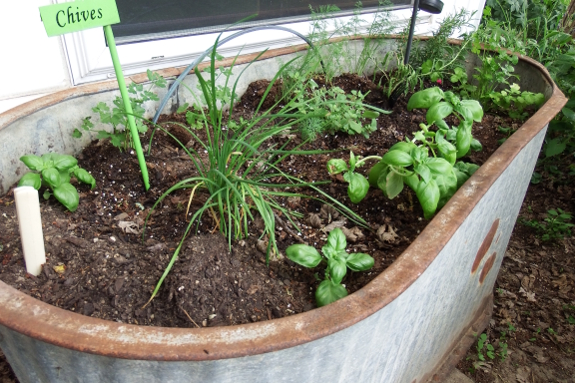 Stock tank herb planter